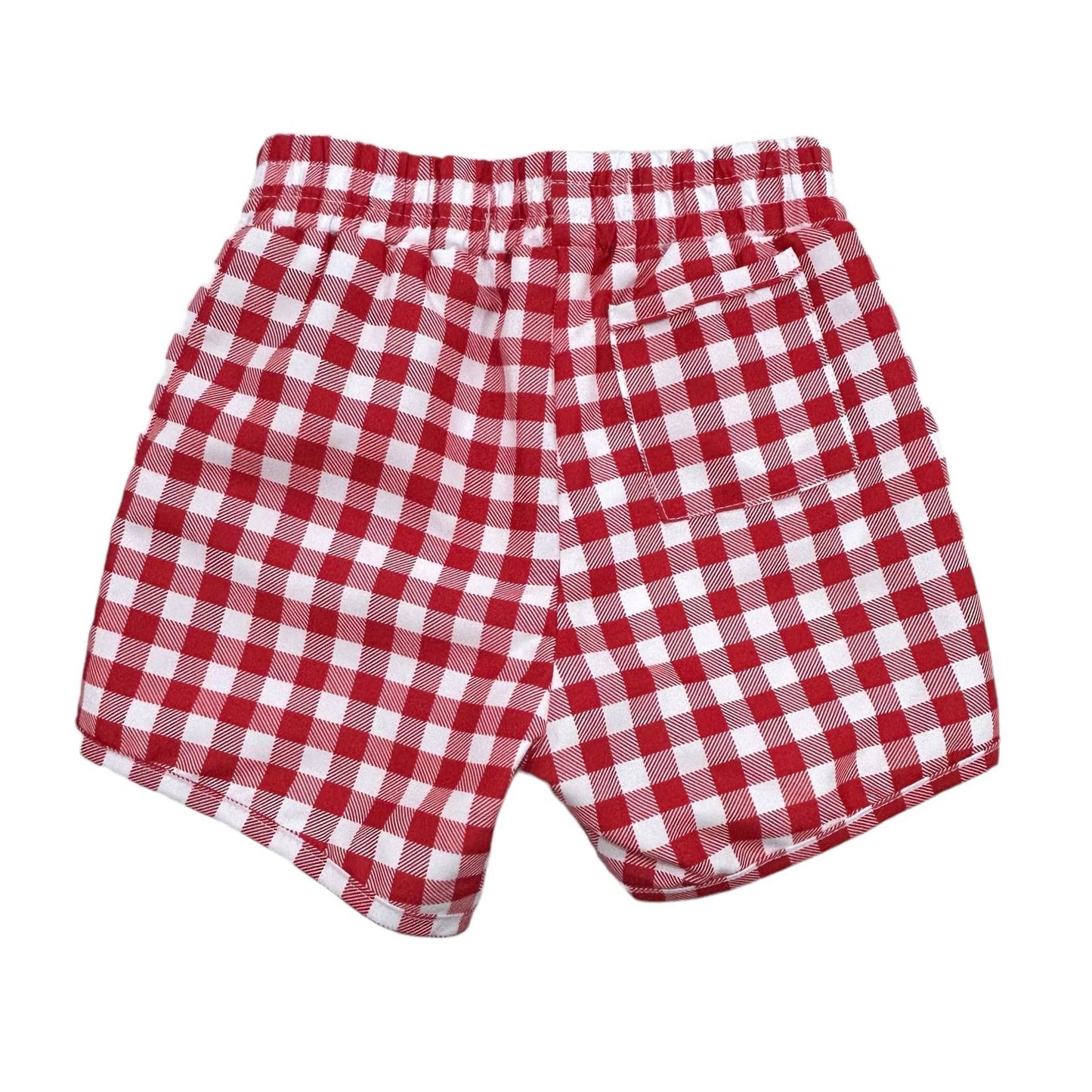 Red Gingham Swim Shorts