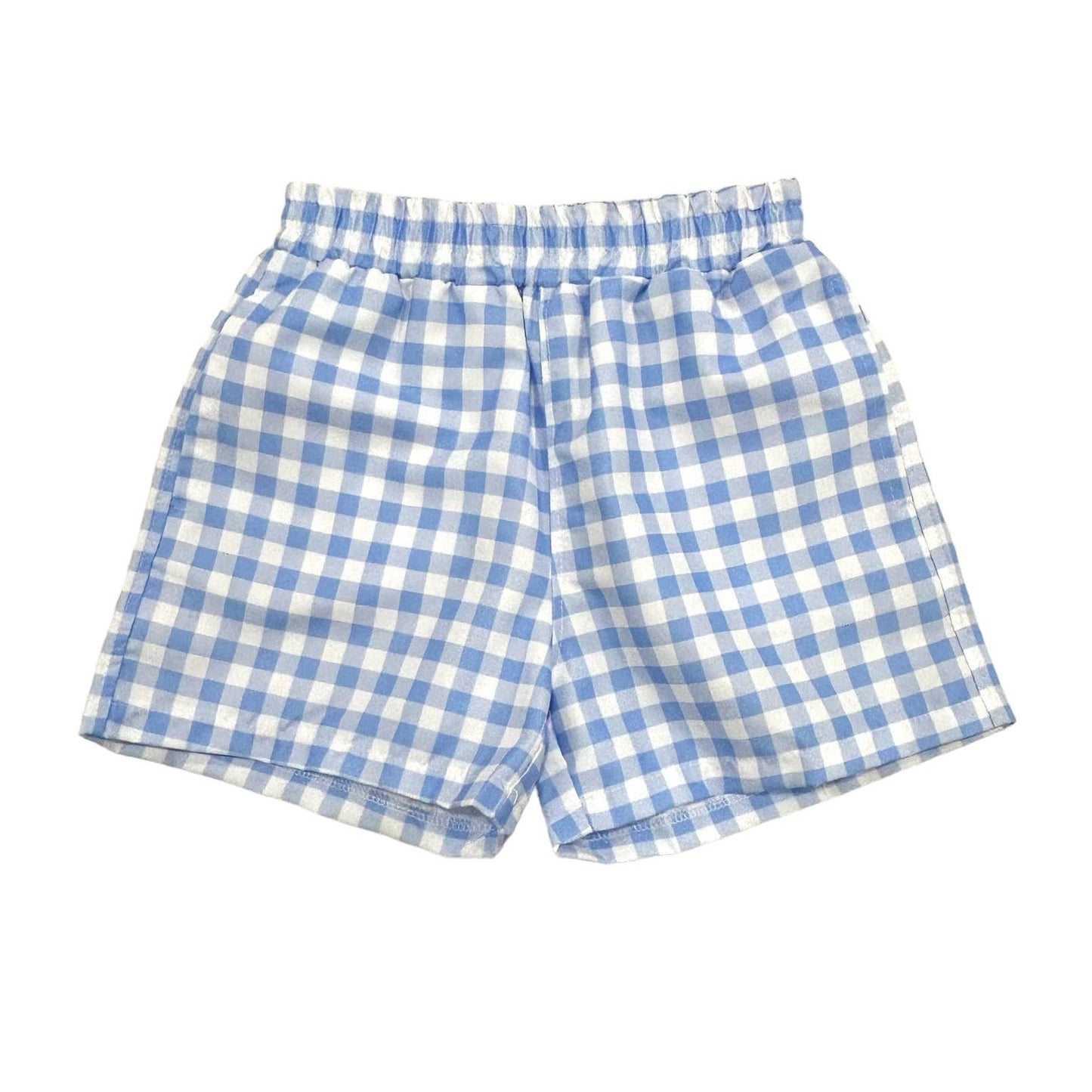 Blue Gingham Swim Shorts